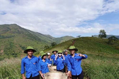 Vì một mùa lễ hội không rác