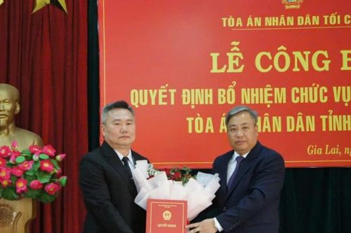 Bổ nhiệm Phó Chánh án Tòa án nhân dân tỉnh Gia Lai
