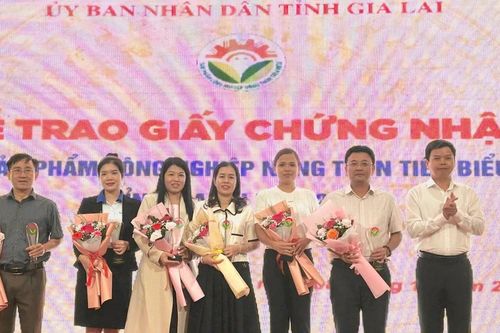 Gia Lai: Trao giấy chứng nhận sản phẩm công nghiệp nông thôn tiêu biểu năm 2024