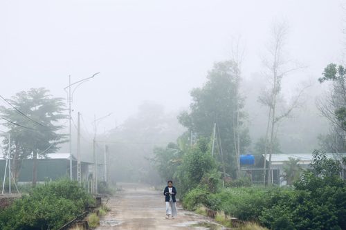 Trong sương mù chợt hiện ra...