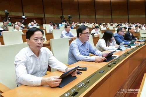 Đại biểu Quốc hội thảo luận một số luật liên quan đến quảng cáo, dữ liệu, hóa chất và chủ trương đầu tư chương trình mục tiêu quốc gia phòng, chống ma túy