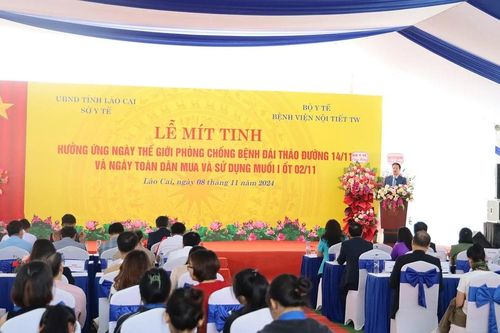 Lào Cai hưởng ứng ngày Thế giới phòng chống bệnh đái tháo đường (14/11)