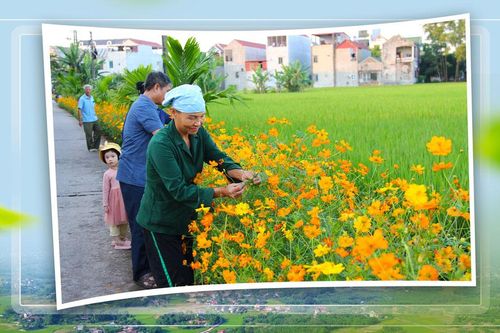 Phú Bình dựng xây những miền quê đáng sống