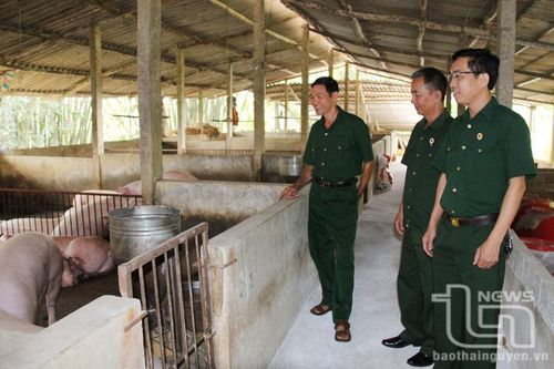 Cựu chiến binh Phú Bình giúp nhau phát triển kinh tế