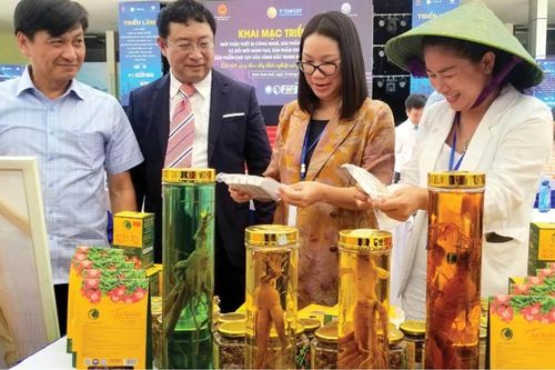 Kích cầu nguồn lực, thúc đẩy khởi nghiệp sáng tạo