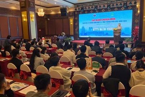 Nâng cao chuyên môn lĩnh vực Răng Hàm Mặt cho bác sĩ 31 tỉnh, thành phía Bắc