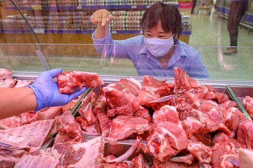 Đón gió Đông, mảng chăn nuôi của Tập đoàn Dabaco (DBC) tăng tốc cuối năm
