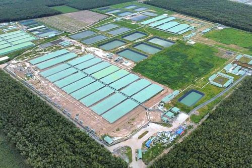 BaF Việt Nam (BAF) thâu tóm cùng lúc 6 doanh nghiệp chăn nuôi