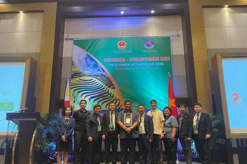 Cơ hội tìm kiếm đối tác trong thương mại gạo giữa Việt Nam - Philippines
