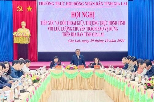 Bài cuối: Nghiên cứu chính sách đặc thù cho lực lượng bảo vệ rừng