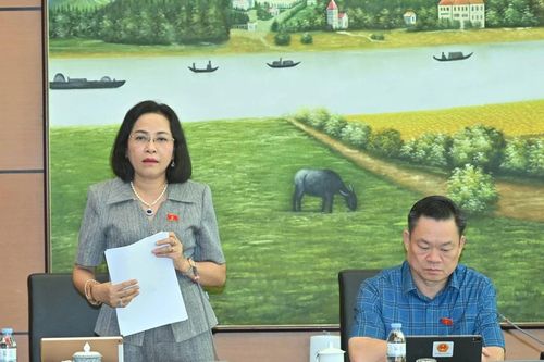 Phó Chủ tịch Quốc hội Nguyễn Thị Thanh: Rà soát kỹ, phân công rõ trách nhiệm trong thực hiện Chương trình và các dự án thành phần