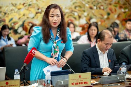 Đại biểu Quốc hội làm rõ nội dung, giải pháp Chương trình mục tiêu quốc gia phòng, chống ma túy