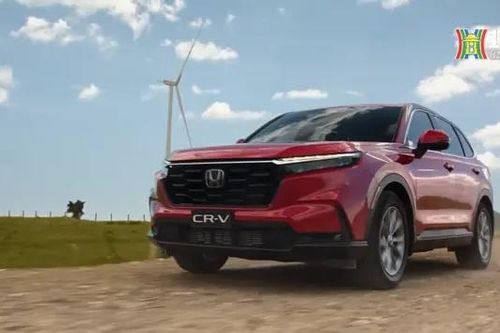Honda gọi sửa chữa CR-V và Civic do lỗi thước lái