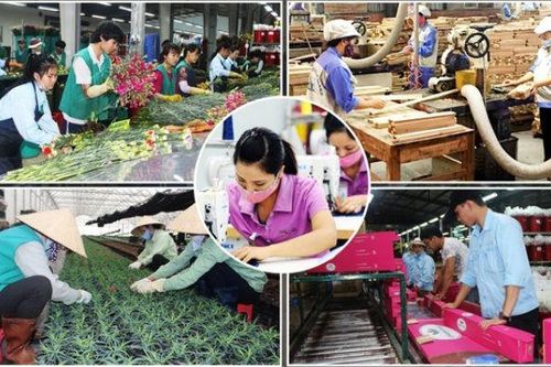 95,4% hộ gia đình có thu nhập không thay đổi và tăng lên trong tháng 10