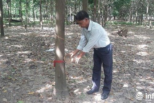Thương binh nặng làm giàu trên đất nhiễm bom mìn