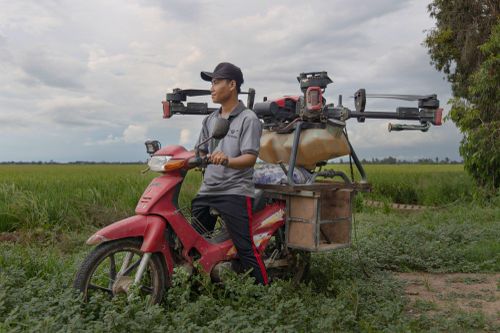 Câu chuyện nông dân Việt Nam trồng lúa giảm phát thải mê-tan lên báo nước ngoài