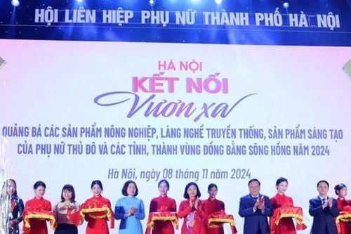 Khai mạc chương trình 'Hà Nội kết nối - vươn xa'