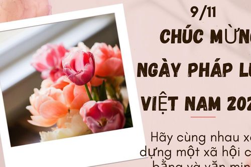 Lời chúc mừng Ngày Pháp luật Việt Nam 9/11 ý nghĩa và hay nhất năm 2024