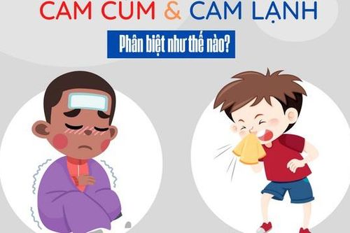 Chọn thuốc cảm cúm an toàn