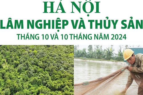 Hà Nội: sản xuất lâm nghiệp và thủy sản tháng 10 và 10 tháng năm 2024
