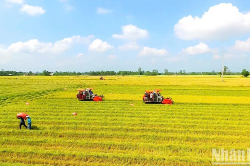Nâng cao 'sức khỏe' đất trồng trọt