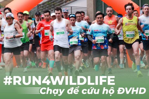 Khởi động giải chạy chung tay cứu hộ động vật hoang dã