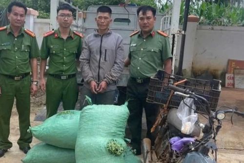 Trộm cà-phê 'đổi' ma túy
