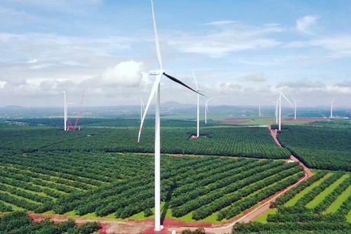 Điện gió vào mùa thấp điểm, Điện Gia Lai (GEG) tạm báo lỗ Quý 3/2024