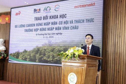 Giải pháp đo lường carbon rừng ngập mặn, cơ hội cho phát triển kinh tế xanh