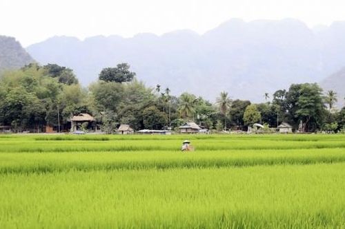Nhà nông mong muốn chính sách góp phần giúp giá phân bón hạ nhiệt