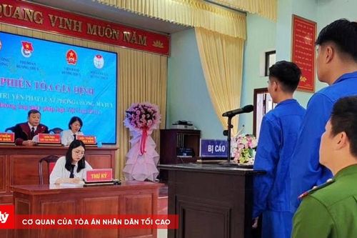 Tuyên truyền giáo dục về phòng chống ma túy nhân ngày Pháp luật Việt Nam