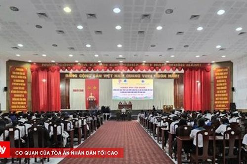 Tuyên truyền pháp luật cho hàng trăm thanh niên, sinh viên thông qua phiên tòa giả định