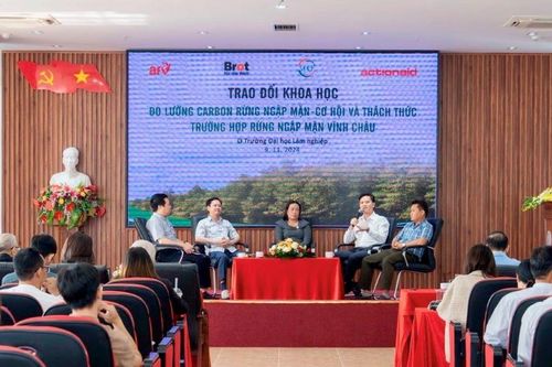 Giá trị thu được từ carbon rừng là động lực để trồng và bảo vệ rừng