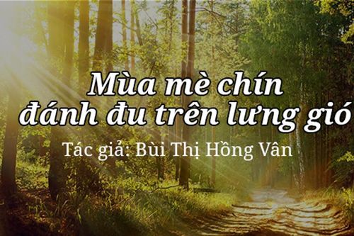 Tản văn hay: Mùa mè chín đánh đu trên lưng gió