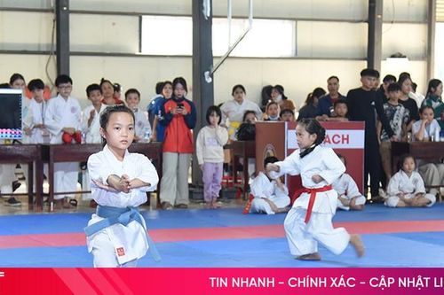 Hơn 350 VĐV tham gia Giải Karate Trường Đại học Hà Tĩnh mở rộng