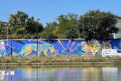 Những bức bích họa khổng lồ ở Street Art Avenue
