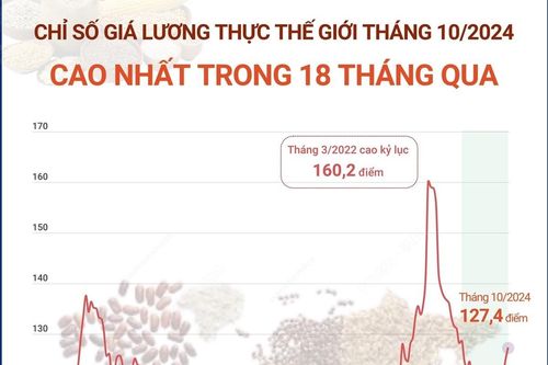 Chỉ số giá lương thực thế giới tháng 10 cao nhất trong 18 tháng qua