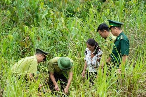 Loài mèo báo quý hiếm vừa được phát hiện ở Khu Bảo tồn thiên nhiên Pù Hoạt có gì đặc biệt?