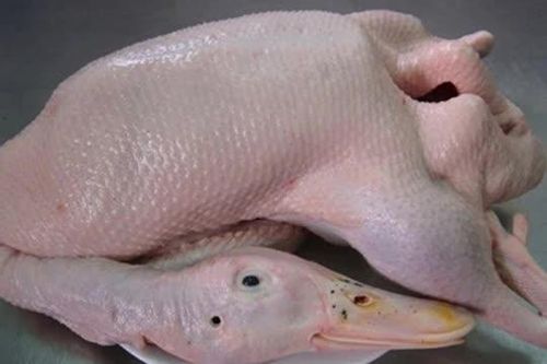 Mẹo hay giúp nhổ lông vịt và làm sạch vịt nhanh nhất