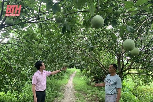 Hỗ trợ nông dân phát triển kinh tế hiệu quả