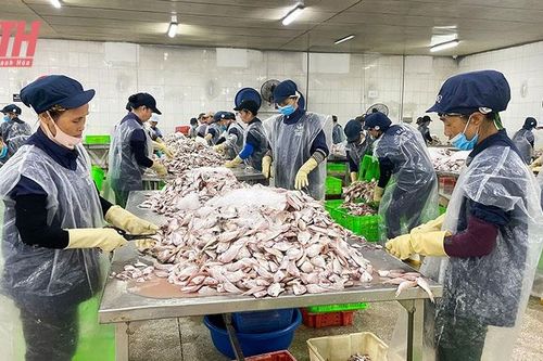 Nghi Sơn xây dựng hướng đi bền vững cho ngành chế biến thủy sản
