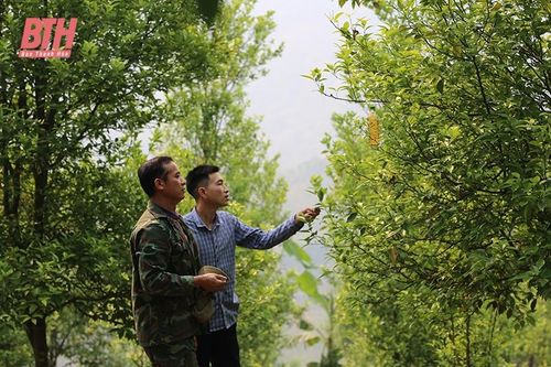 Những người 'chăm việc Đảng, lo việc dân'