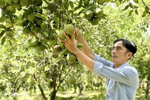 Tạo môi trường khuyến khích khởi nghiệp trong nông nghiệp