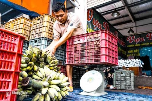 Nhộn nhịp chợ đầu mối Dầu Giây