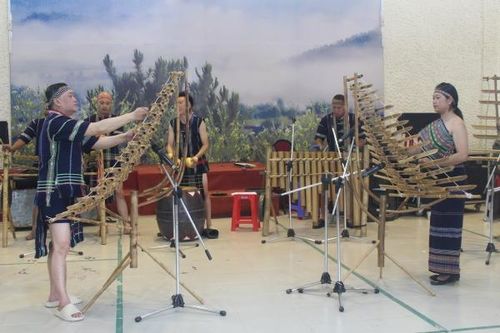 Đoàn Nghệ thuật Dân tộc Nam Tây Nguyên tham dự Lễ hội dân gian quốc tế tại Ấn Độ