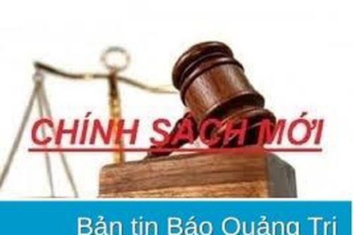 Khẩn trương triển khai thu học phí bằng phương thức thanh toán không dùng tiền mặt