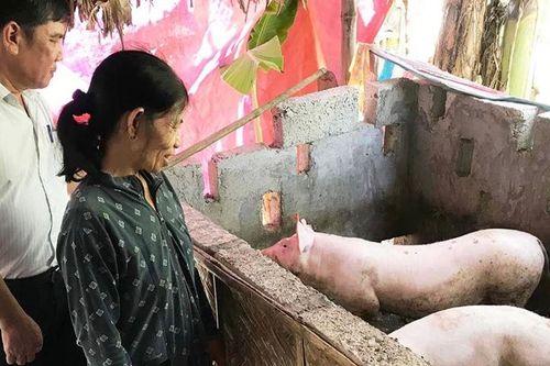 'Ông giảm nghèo' ở Hương Vân