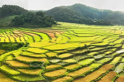 Kon Tum: Quy hoạch Khu du lịch Măng Đen tầm nhìn đến năm 2045