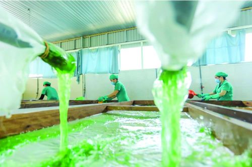 Sáng tạo sản phẩm theo xu hướng xanh