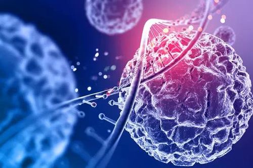 Việt Nam có trên 180 nghìn ca ung thư mới mỗi năm